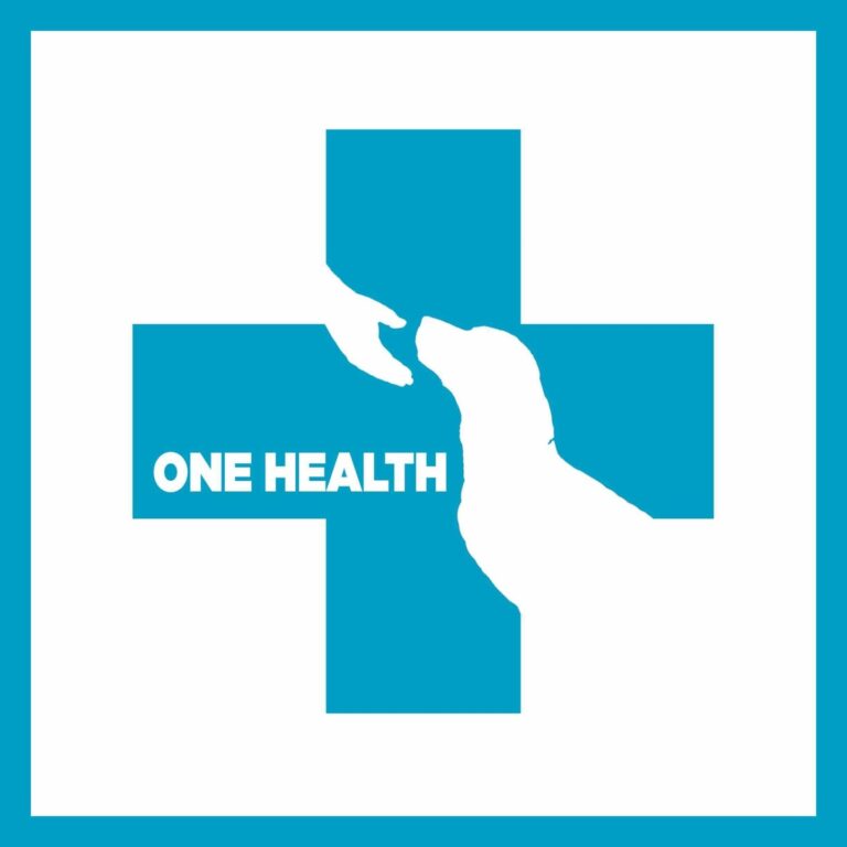 Veterinarska ambulanta ONE HEALTH